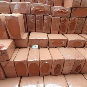 High Quality 5kg Coconut <b>Coir</b> Peat <b>Block</b> Low EC Growing Substrate from Vietnam - Product Image 1