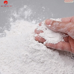 Revêtement en poudre de CaCO3 de qualité supérieure pour applications automobiles et marines, peinture de haute qualité pour véhicules et bateaux Nhat Thang VNT 7 Nghe - Product Image 2