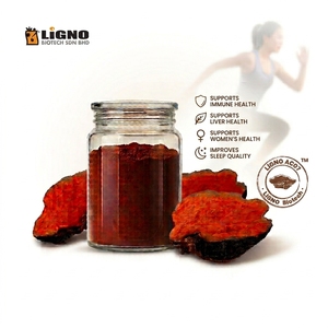 ผงเห็ดแอนโตรเดีย แคมฟอร์าต้า LiGNO AC07 แบบฟูลสเปกตรัม อบแห้งด้วยวิธีเย็น วัตถุดิบธรรมชาติ สารต้านอนุมูลอิสระ บำรุงสุขภาพ - Product Image 1