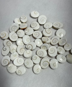 Piedra Natural Ojo de Shiva, Gomti Chakra, Ojo de Shiva, Precio al por Mayor, Piedra Preciosa de Concha Marina para Fabricación de Joyas - Product Image 3