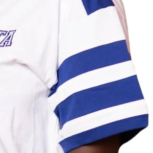 T-shirt de hockey Zeta Phi Beta unisexe, lettres grecques brodées, streetwear, décontracté, athlétique, en coton de qualité supérieure - Product Image 4