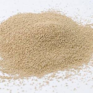 Enzima Suavizante de Carne Natural Pura en Polvo, Proteasa de Origen Vegetal para Textura de Carne Tierna, Aplicaciones Culinarias y de Procesamiento de Alimentos - Product Image 1