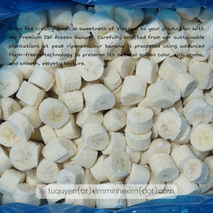 Pulpa de Plátano Congelada IQF 100% Natural de Vietnam, Sabor Dulce, 10 kg, Almacenamiento a -18 °C para la Industria de Alimentos y Bebidas - Product Image 3