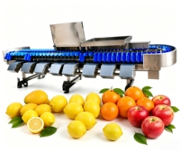 Automatische appel- en sinaasappel sorteermachine met verstelbare gaasband voor landbouwgebruik