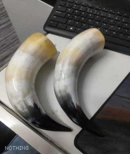 Buffalo Ox Horn Viking <b>Beer</b> Mug Handmade Drinking Horn | Eco Friendly Europe Style Bar & Party Mug - Product Image 1