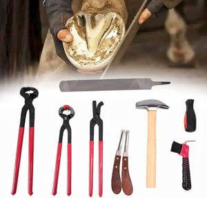 Kit d'outils de ferrage pour chevaux personnalisé, instruments vétérinaires, ensemble de soins des sabots, outils de coupe des sabots en acier inoxydable pour chevaux - Product Image 1
