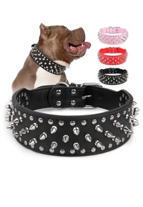 Trending <b>Spiked</b> Leather Dog Collar Multifunctional & Lightweight with Soft Padded Foldable Carving & Haindpainted Custom - Product Image 5