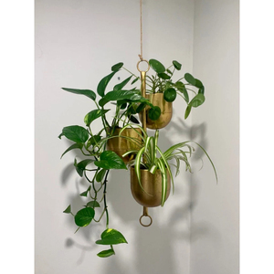 Jardinières suspendues en fer noir de qualité supérieure, style moderne minimaliste du milieu du siècle, pour plantes d'intérieur et d'extérieur, balcon. - Product Image 6