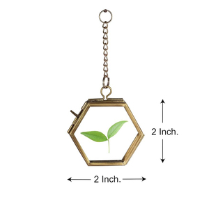 Nouveau cadre hexagonal suspendu en métal avec spécimen de papillon bleu, finition laiton antique et verre transparent, taille personnalisée, décoration - Product Image 4