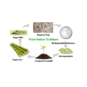วัตถุดิบจากชานอ้อยสำหรับทำบรรจุภัณฑ์อาหารย่อยสลายได้แบบใช้แล้วทิ้งโดยตรงจากซัพพลายเออร์อินเดีย - Product Image 2