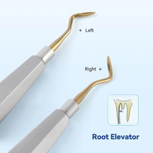 Elevador Dental de Acero Inoxidable, Instrumento Quirúrgico para Dentistas, Extracción de Dientes, Elevador Triangular Recto - Product Image 2