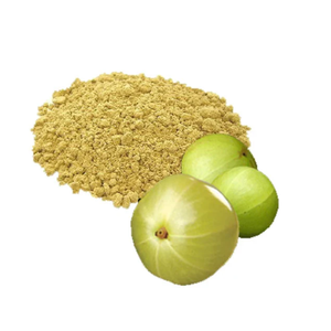 Amla Powder for Food Industry Amla Powder for Daily Nutrition Amla Powder for Functional Foods Amla Powder for Wellness Products - Product Image 1
