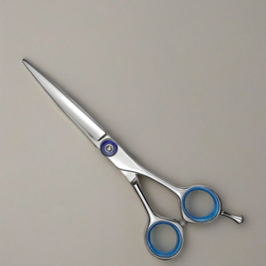 Ciseaux à cheveux droits professionnels de 5.5 pouces cisailles lame en acier inoxydable avec pointe pointue pour coiffeurs et stylistes - Product Image 1