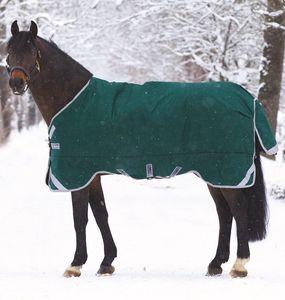 Mantas y Cobijas para Caballos de Invierno, Impermeables, Rellenas de Algodón, Peso Medio, con Logotipo Personalizado, Diseño de Alta Gama - Product Image 5