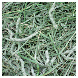 Heno de Timothy para Alimentación Animal, Heno de Pasto de Alta Demanda, Suministro al por Mayor a Nivel Mundial - Product Image 5