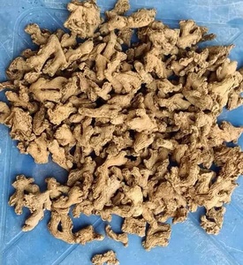 ขิงสดคุณภาพสูง หั่นเป็นชิ้น ยี่ห้อ CREKS น้ำหนัก 25 กก. ขายดี ราคาโรงงาน ผลิตภัณฑ์ผ่านกระบวนการอบ - Product Image 3