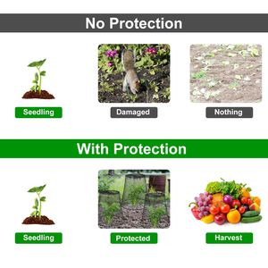 Confezione da 10 Cloche in Rete Metallica per Piante 23,5x23,5 cm - Gabbie da Giardino in Metallo con 30 Picchetti, 20 Etichette e Protezione Rinforzata - Product Image 4
