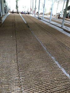 ผ้าใยมะพร้าวธรรมชาติสำหรับจัดสวน Eco2go เวียดนาม |   ตาข่ายใยมะพร้าวรักษ์โลกสำหรับควบคุมการกัดเซาะของดินในงานเกษตร - Product Image 2