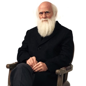Solución de una parada, escultura de estatua de cera de <span class=keywords><strong>Darwin</strong></span> de científico de tamaño humano realista personalizada privada para decoración interior - Product Image 1