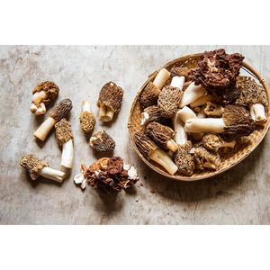 เห็ดมอเรลป่าอบแห้งกูร์เมต์ อีสต์ นาทูร์ฮัส รสชาติเข้มข้น วัตถุดิบอาหารธรรมชาติ - Product Image 6