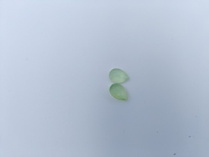 Prehnite พลอยนิลลูกแพร์ตัดหลวมอัญมณีทำฟรีขนาดราจาสถานกำเนิด - Product Image 4