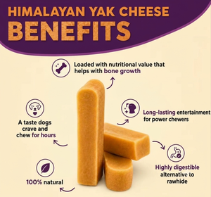 Masticables de Leche de Yak del Himalaya para Perros de Todas las Razas, Perros Pequeños a Grandes, Duros, Duraderos, con Alto Contenido de Proteínas, Golosinas para el Cuidado Dental, OEM, ODM, a Granel - Product Image 3