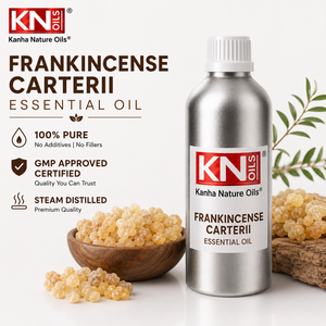 Aceite Esencial de Incienso Carterii Más Vendido, 100% Puro, Boswellia Carterii Orgánica Certificada, Fabricación a Granel, Exportación Mundial - Product Image 1