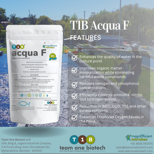 <b>Phosphate</b>-Reducing Bacterial Culture for Aquaculture Sustainability - Product Image 2