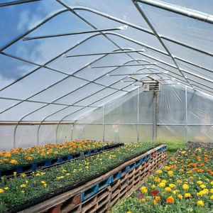 30FT X 120FT Stable Tunnel <b>Greenhouse</b> for Grow Tent 6 Mil Clear EVA <b>Plastic</b> Film Cold Frame Hand Crank Roll Peak Ceiling Roo - Product Image 4