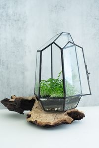 Terrario de Metal y Vidrio Personalizado, Moderno, para Plantas de Interior, Suculentas, Plantas Aéreas y Terrarios DIY - Product Image 3