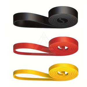 Bandas de resistencia ajustables con asas, tubos de resistencia portátiles para ejercicios de fuerza, entrenamiento en casa, equipo de gimnasio. - Product Image 6