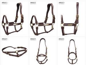 Adjustable Genuine Leather Horse Halter for Professional Riding <b>Equestrian</b> Equipment From Divine International - Product Image 4