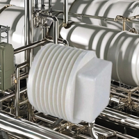 Bouchon d'extrémité fileté en PVC de qualité supérieure 1/2 pouces SCH 40 filetage mâle pour pipelines agricoles et de jardin