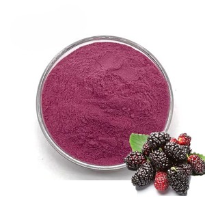 Hot Selling 100% Pure Mulberry Fruit Powder Naturally Dried Food Grade Mulberry Powder Helps Maintain Internal Balance & Support - Product Image 2