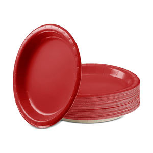 Platos Desechables Resistentes, Fabricación en Pakistán, Venta al Por Mayor OEM/ODM, Vajilla Ligera con Impresión Personalizada - Product Image 4