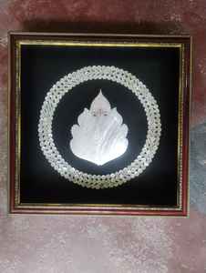 Artesanías de Conchas Marinas Naturales Hechas a Mano, Blancas de 8mm, Decoración Costera Sostenible para el Hogar, Conchas Oceánicas Pulimentadas, Regalo Artístico, Venta al Por Mayor - Product Image 5