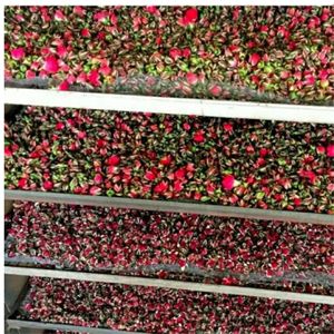 Capullos de Rosa Secos Naturales, Aroma Floral Intenso, Ingrediente de Grado Alimenticio - Product Image 5