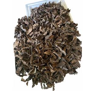 Copeaux de bois d'Oud naturel de qualité supérieure du Vietnam 3A+ Copeaux de racine d'Oud Type de résine profonde, Arôme sucré mielé pour Bakhoor de luxe - Product Image 6