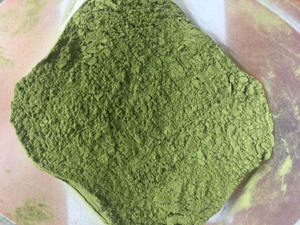 ผงมิ้นท์ปลาเวียดนามพรีเมียม บรรจุภัณฑ์แบบขายส่ง สำหรับชา สมูทตี้ อาหารเพื่อสุขภาพ และบริการ OEM - Product Image 1