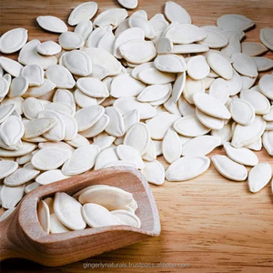 Meilleur prix pour les fruits de citrouille de style solide séché en stock - Product Image 3