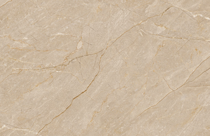 กระเบื้องปูพื้นและผนังลายฟีนิกซ์สีน้ำตาล รุ่นโมเดิร์น ผิวด้าน ทนกรด สำหรับตกแต่งภายใน วิลล่า โรงพยาบาล ขนาด 60x120 ซม. - Product Image 4