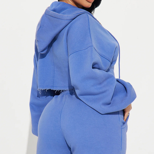 Ensemble tendance 2 pièces pour femme, bleu, avec crop top à capuche et short, en polaire, décontracté, printemps-été, couleur unie, fermeture éclair sur le devant, coupe classique 2026 - Product Image 6