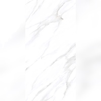 Revêtements de sol en porcelaine vitrifiée Paramount Luminous Finish 600x1200mm pour extérieur, salle de bain, couloir, antidérapants, résistants à l'usure, effet brique