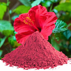 Bulk 100% Pure & Natural Hibiscus Powder Premium (Hibiscus Sabdariffa) Flower Powder for Hair Care Skin Care & Herbal Tea - Product Image 2