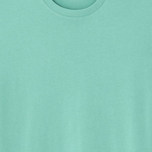 T-shirt en coton à manches courtes et col rond pour homme, couleur unie, coupe classique, jersey tricoté, vert menthe - Product Image 5