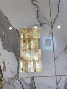 High Quality Vietnam Polished Mother of Pearl <b>Shell</b> Inlay Piece Natural MOP Material for Furniture Craft Export - Product Image 5