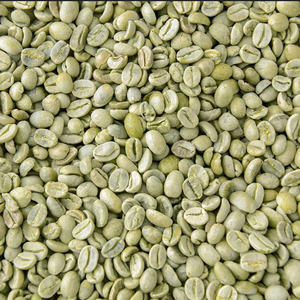 เมล็ดกาแฟโรบัสต้าพิเศษจากเวียดนาม ส่งออกโดยตรง ขนาด 18  ได้รับการรับรองมาตรฐาน ISO 22000 และ USDA เกรดพรีเมียม  แตกและดำ 0.1% - Product Image 1