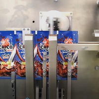 Machine d'emballage horizontale Acepack automatique à bec verseur supérieur pour le remplissage de sachets de café, de jus, de boissons et de liquides