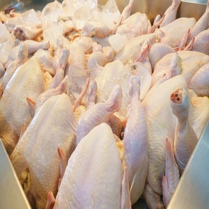 Coupes de poulet surgelées pour les acheteurs commerciaux, restaurants, hôtels, cafés, services de traiteur, distributeurs de produits alimentaires et boucheries. - Product Image 1