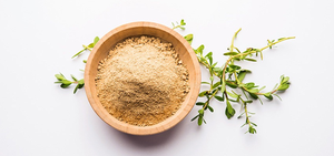 <b>Best</b> Price Factory Wholesale Supply Natural 50% Bacopa Monnieri Extract Powder - Product Image 2
